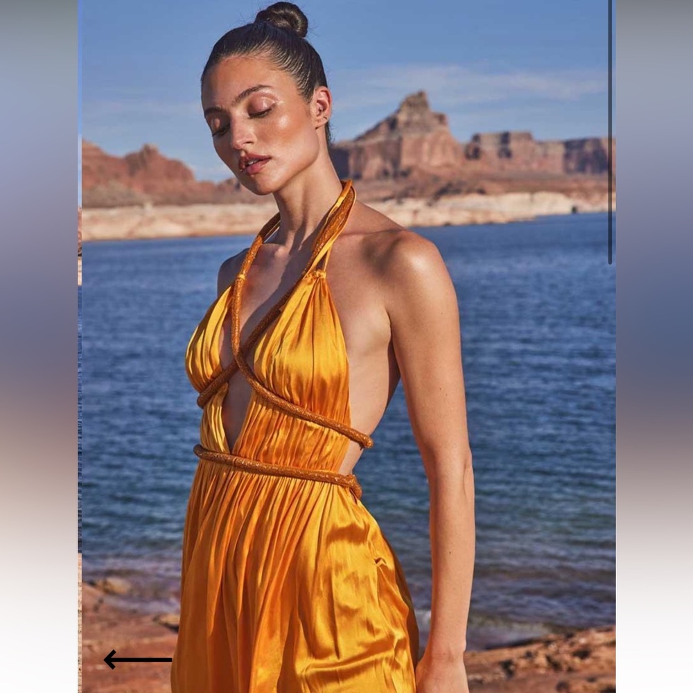 NWT CULT GAIA Salee Ruched Deep V-Neck Gown.